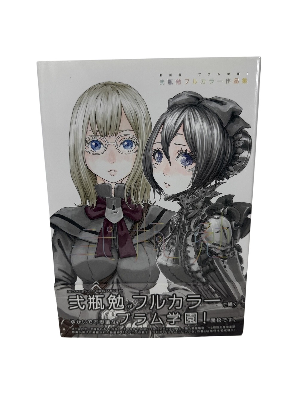 Plum Academy Full Color Art Book Tsutomu Nihei BLAME Art Collection